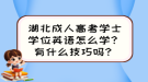 湖北成人高考學(xué)士學(xué)位英語怎么學(xué)？有什么技巧嗎？