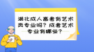 湖北成人高考有藝術(shù)類專業(yè)嗎？成考藝術(shù)專業(yè)有哪些？