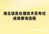 湖北信息處理技術員考試成績查詢流程