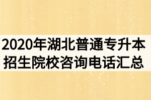 2020年湖北普通專升本招生院校咨詢電話匯總