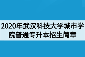 2020年武漢科技大學(xué)城市學(xué)院普通專升本招生簡章