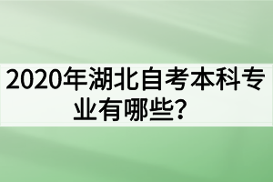 2020年湖北自考本科專業(yè)有哪些？哪些專業(yè)的就業(yè)前景好