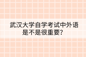 武漢大學(xué)自學(xué)考試中外語(yǔ)是不是很重要？