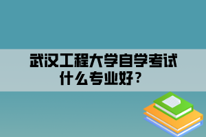 武漢工程大學(xué)自學(xué)考試什么專(zhuān)業(yè)好？