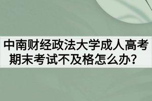 中南財經(jīng)政法大學(xué)成人高考期末考試不及格怎么辦？