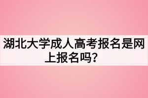 湖北大學(xué)成人高考報(bào)名是網(wǎng)上報(bào)名嗎？