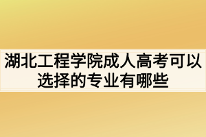 湖北工程學(xué)院成人高考可以選擇的專業(yè)有哪些？