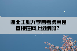 湖北工業(yè)大學(xué)自考費(fèi)用是直接在網(wǎng)上繳納嗎？