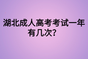 湖北成人高考考試一年有幾次？