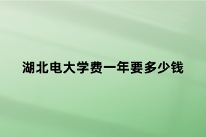 湖北電大學費一年要多少錢