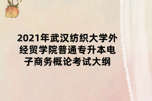 2021年武漢紡織大學外經(jīng)貿(mào)學院普通專升本電子商務概論考試大綱