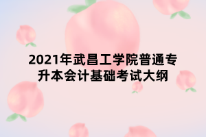 2021年武昌工學院普通專升本會計基礎(chǔ)考試大綱