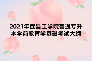 2021年武昌工學(xué)院普通專(zhuān)升本學(xué)前教育學(xué)基礎(chǔ)考試大綱