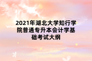 2021年湖北大學知行學院普通專升本會計學基礎考試大綱