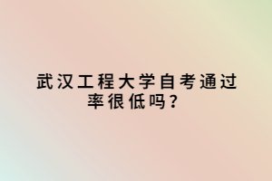 武漢工程大學自考通過率很低嗎？