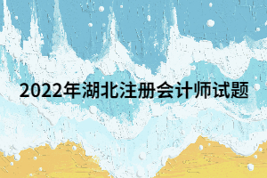 2022年湖北注冊(cè)會(huì)計(jì)師試題一