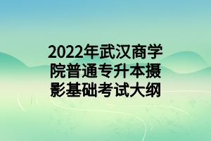 2022年武漢商學(xué)院普通專(zhuān)升本攝影基礎(chǔ)考試大綱