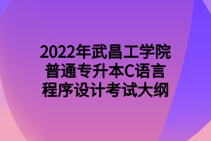 2022年武昌工學(xué)院普通專升本C語(yǔ)言程序設(shè)計(jì)考試大綱