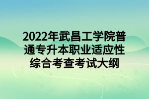 2022年武昌工學(xué)院普通專(zhuān)升本職業(yè)適應(yīng)性綜合考查考試大綱