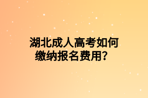 湖北成人高考如何繳納報名費用？