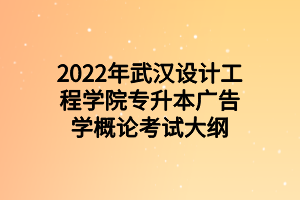 2022年武漢設(shè)計(jì)工程學(xué)院專升本廣告學(xué)概論考試大綱