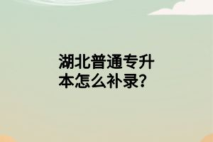 湖北普通專升本怎么補(bǔ)錄？